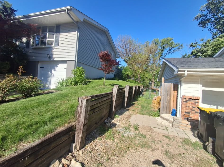 Untouched yard before groundwork - Before